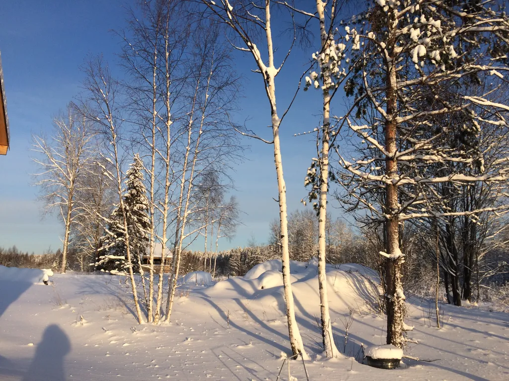 Загородный дом в лесу на Финском заливе