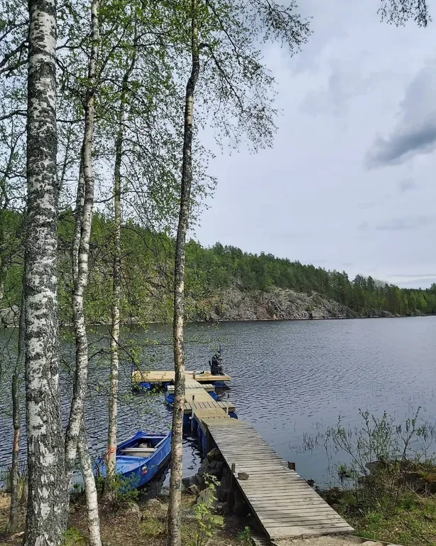 На Ладоге Брусничный