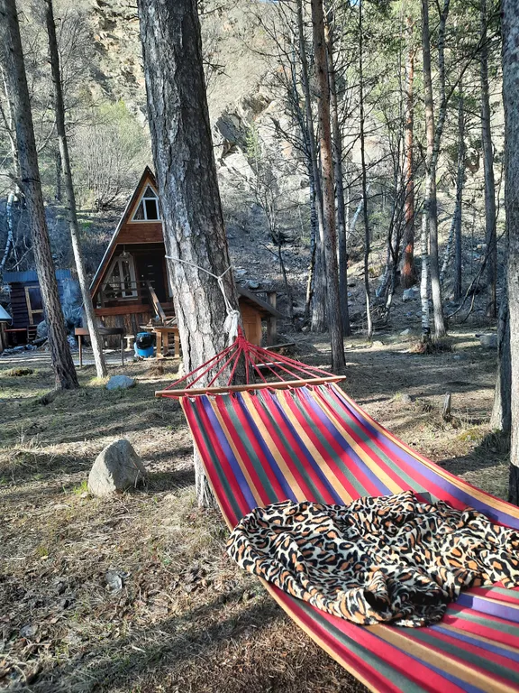 Гостевой дом в сосновом бору с горной рекой на территории