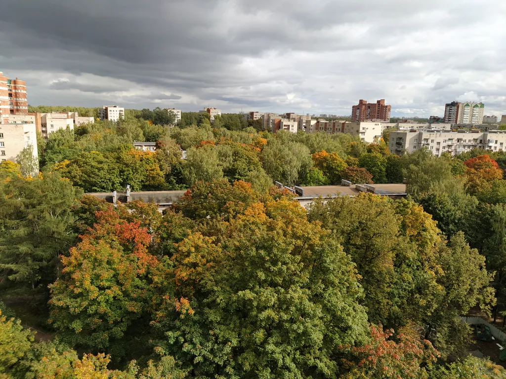 Петербургская квартира с видом на закат
