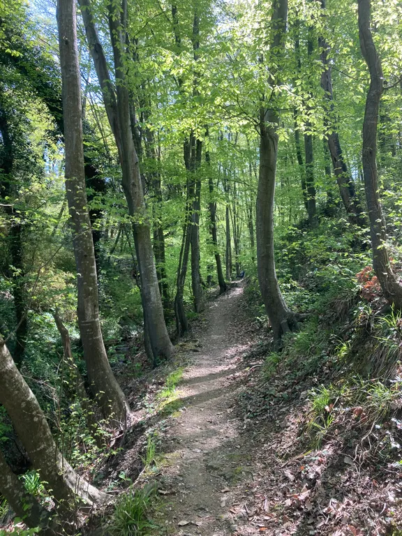 Дом у моря с бассейном и баней под ключ