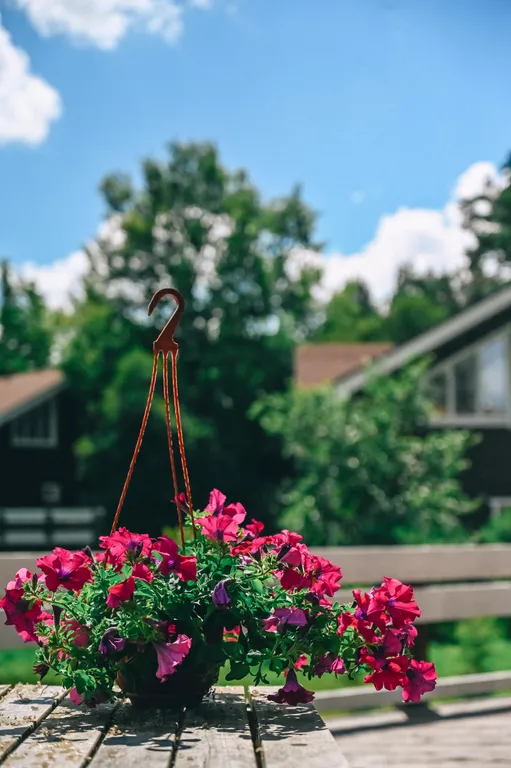 Коттедж 3-комнатный Дом — Коробицыно