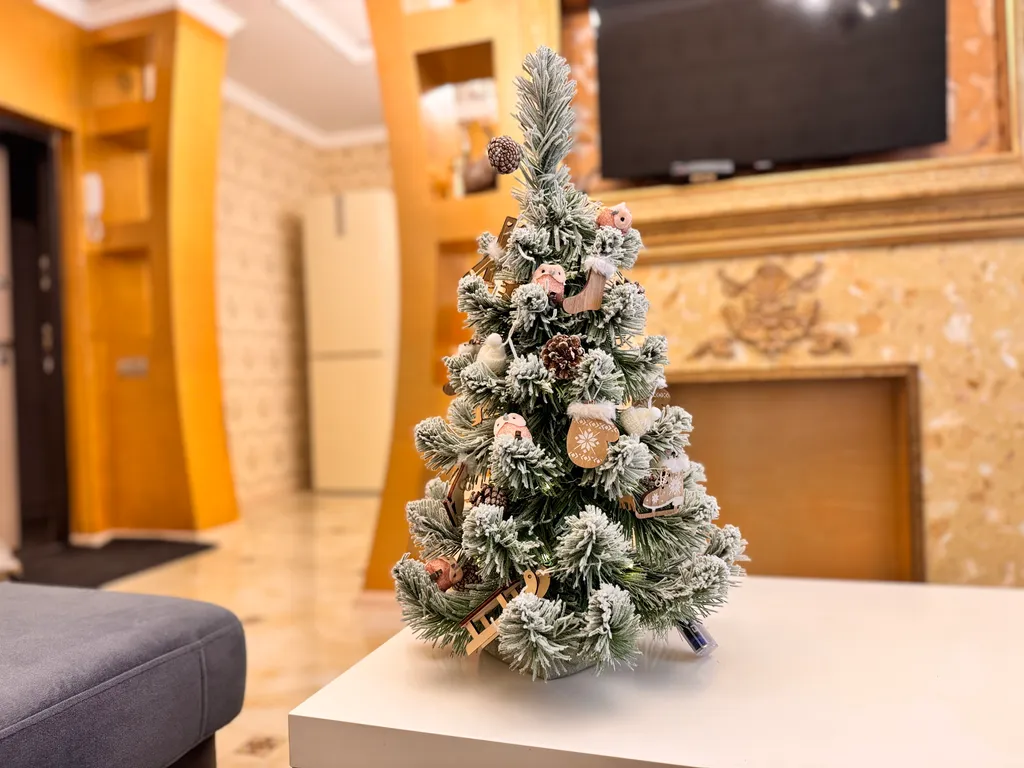 Элитная квартира у источника