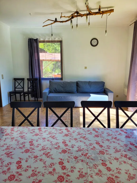 Brusnika village коттедж с видом на озеро