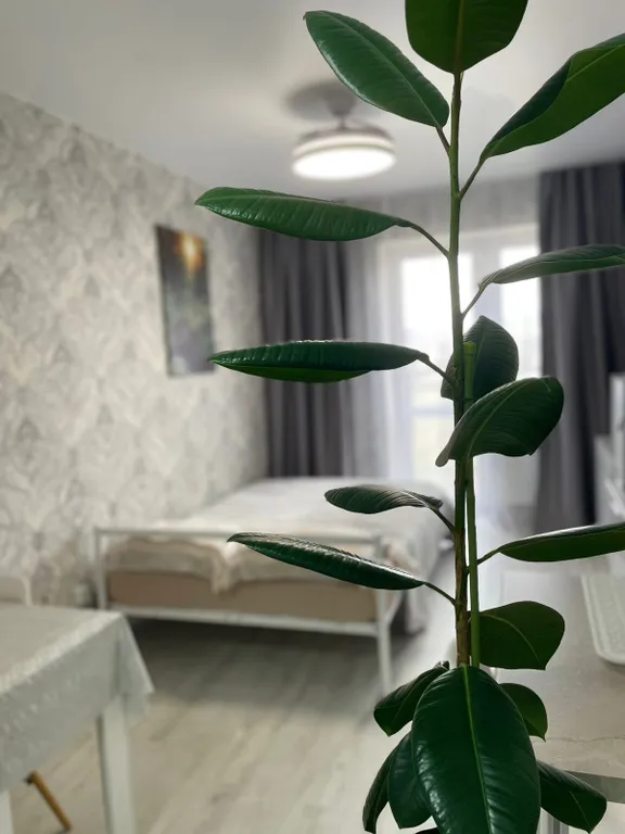 Уютная студия на Красина