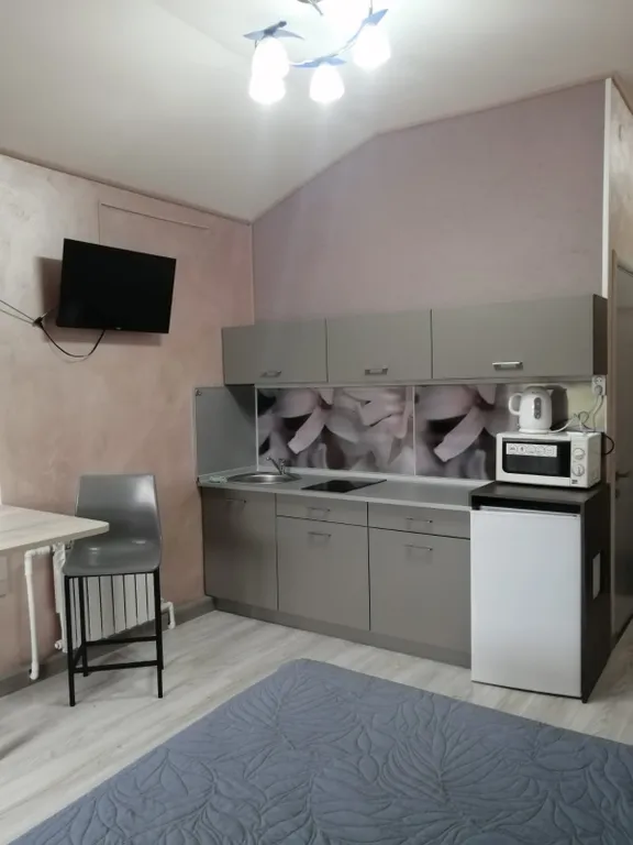 Квартира-студия на окраине города — аренда посуточно в Торжок