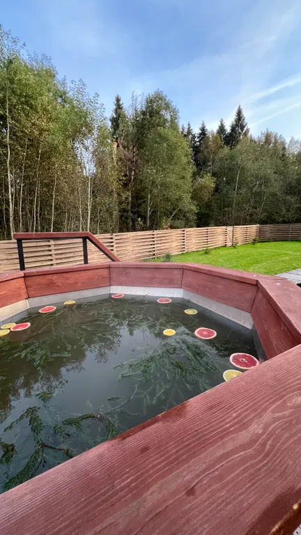 Дом с баней и чаном