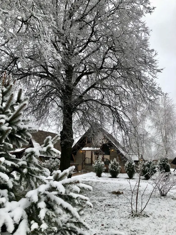 Коттедж в стиле шале