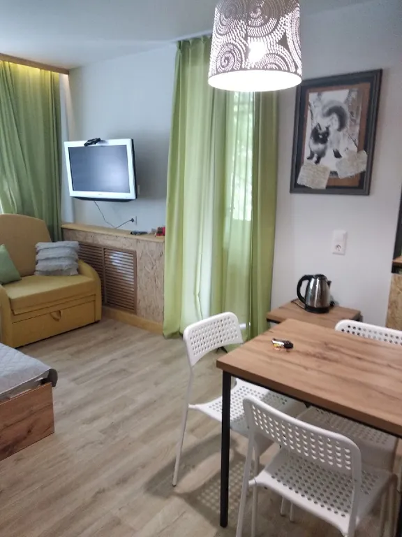 Студия 3 в центре