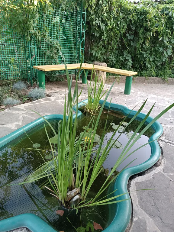 Видовые апартаменты