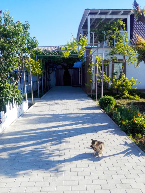 5-комнатный Дом