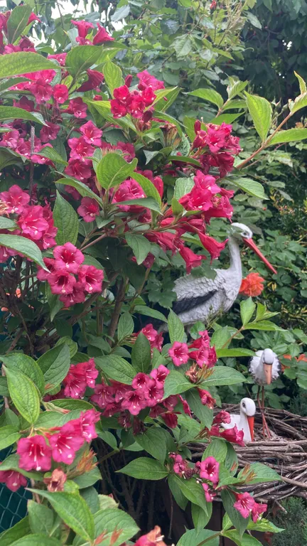 Уютная комната с балконом