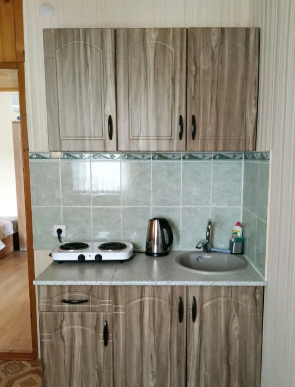 1-комнатная квартира 250 метров до моря