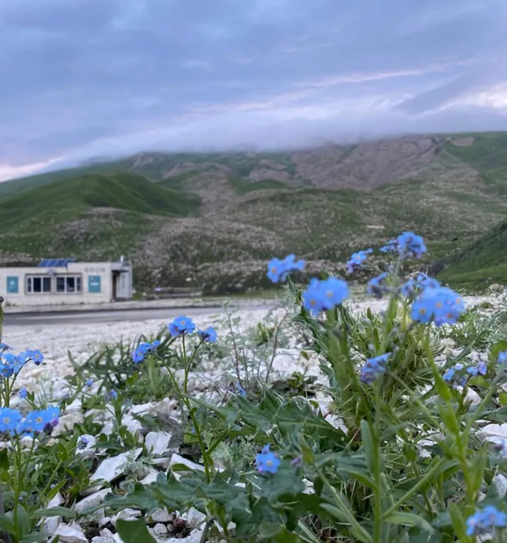 "Горская сакля"