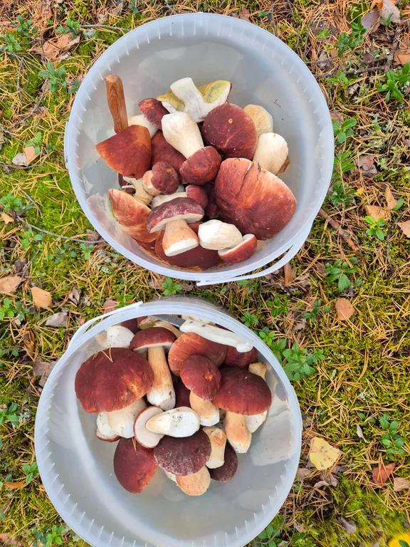 Коттедж Дом с видом на озеро — Крошнозеро