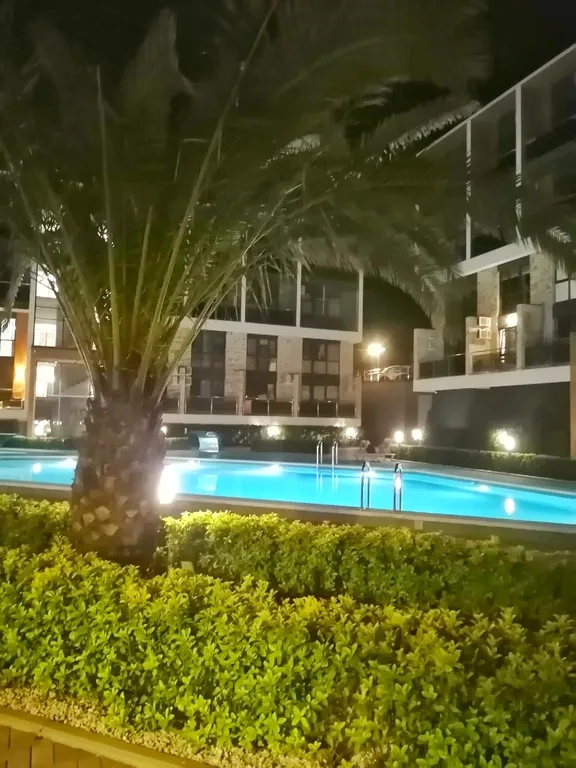 Уютная студия с видом на лес