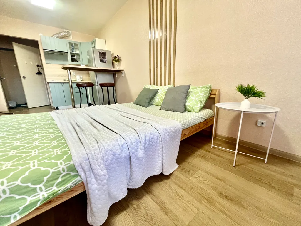 Уютная студия в центрально районе