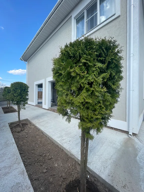 Коттедж в центре