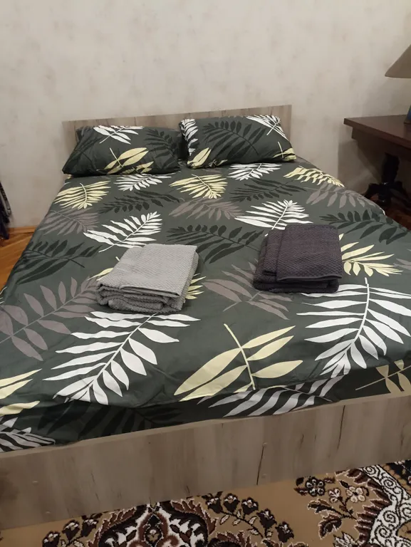 Однокомнатная квартира в тихом районе центра города