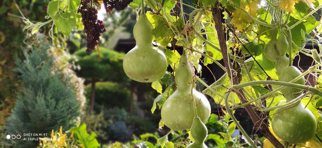 Студия в тихом уголке