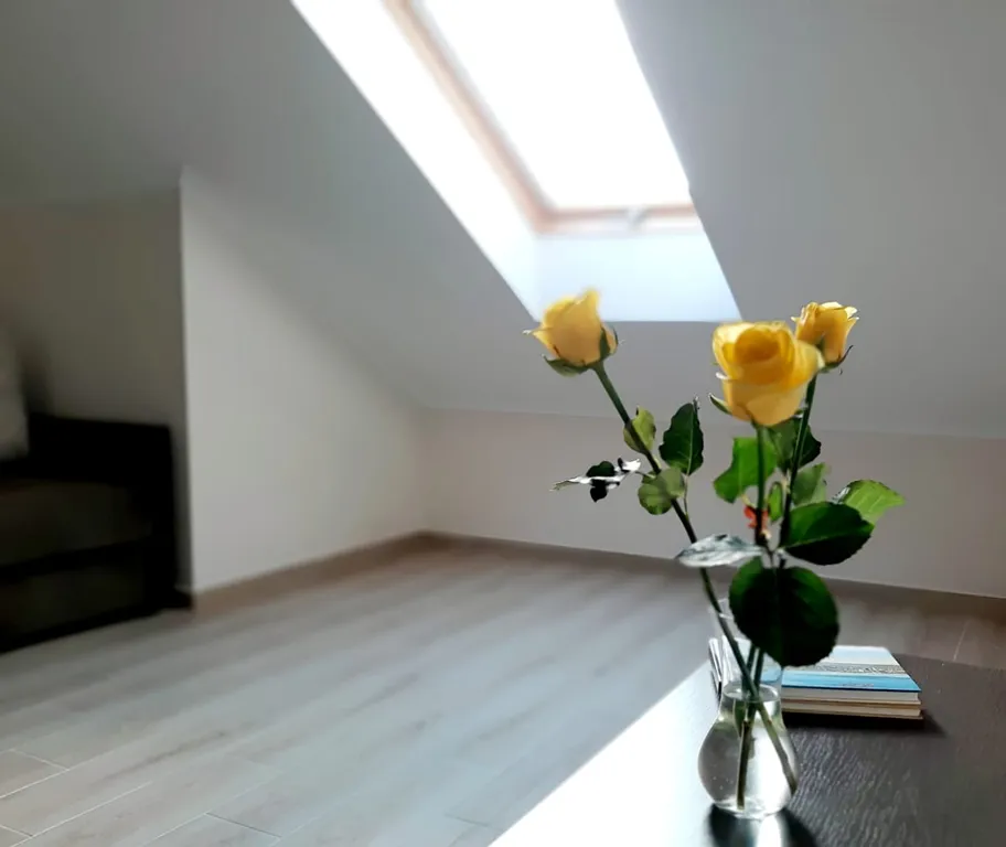 Квартира Уютная квартира у моря с отдельной спальней — Геленджик