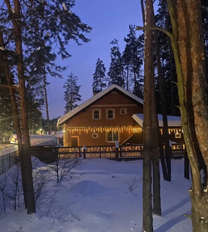 Дом в черте города в сосновом лесу