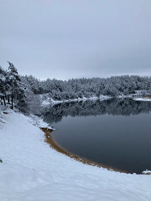 Уютный лесной домик со всеми удобствами