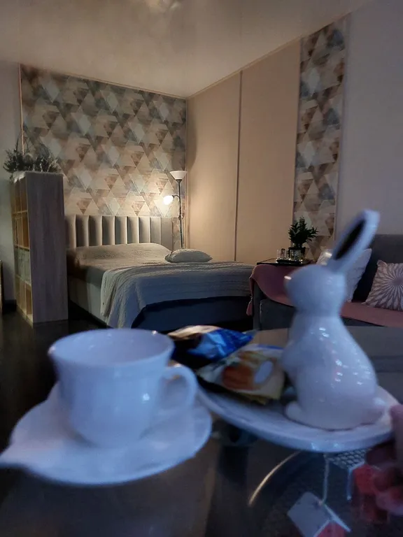 Уютная квартира с джакузи и с видом на Китай и реку Амур