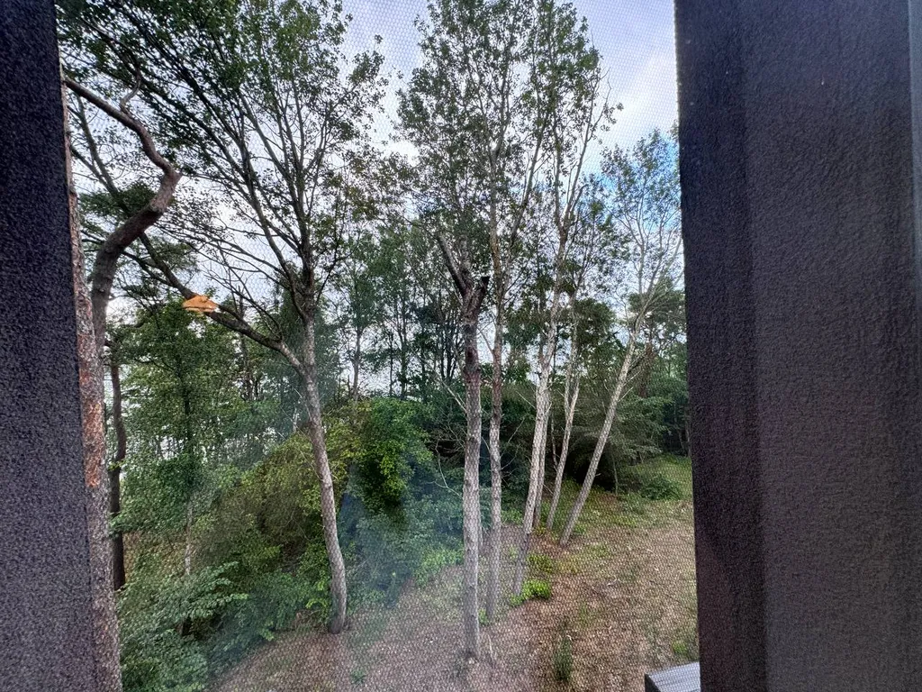 Квартира Апартаменты 9 на первой линии моря с 2-мя кроватями king-size — Светлогорск