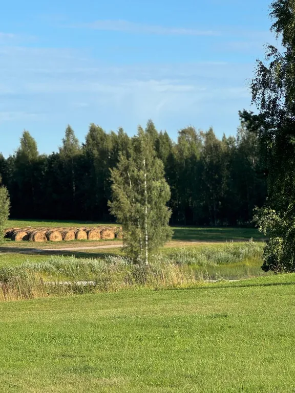 Дом из сруба у воды