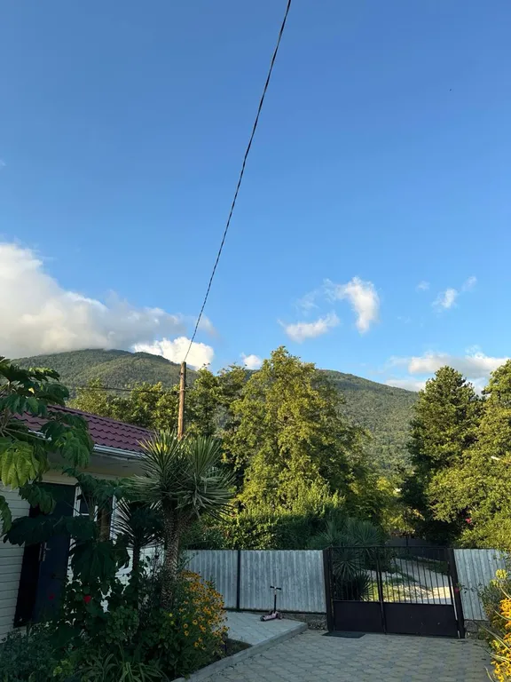 Когда солнце садится, оставь все дела и смотри