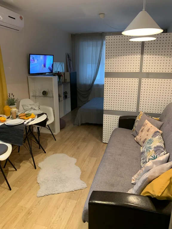 Квартира-студия недалеко от Зоопарка