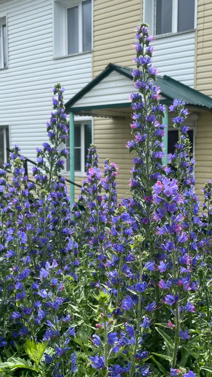 Двухкомнатная квартира в центре Усть Коксы