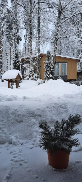 Коттедж Дом на Финском заливе в проливе Бьеркезунд — Приморск