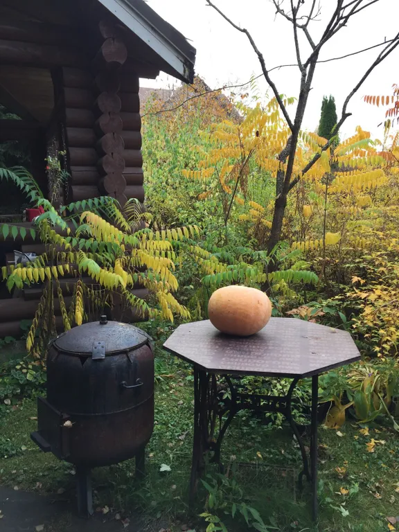 Коттедж Домик у леса с баней на дровах — Алексино