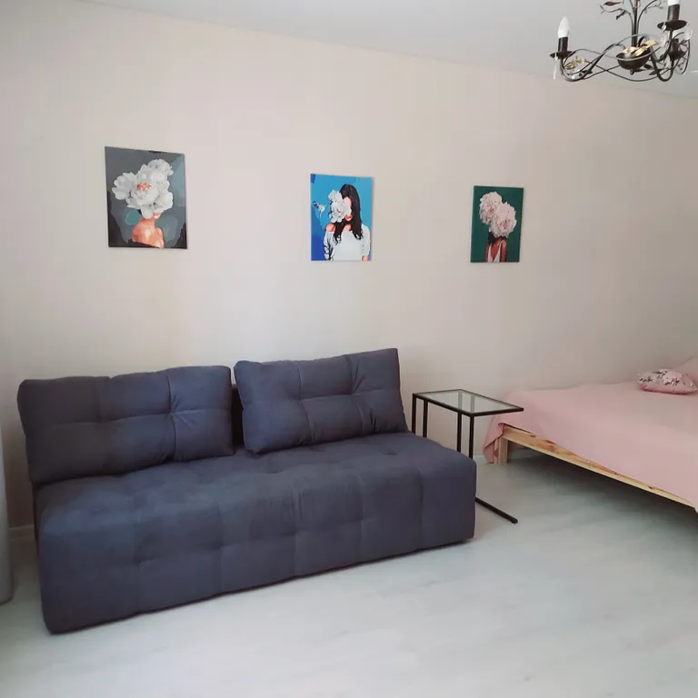 Удобная квартира рядом с Мегой