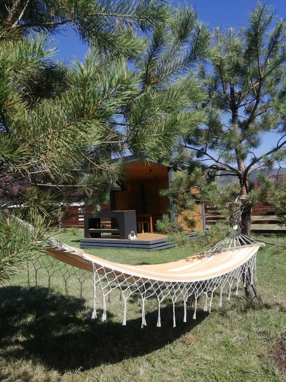 Отдых в живописном месте Алтая