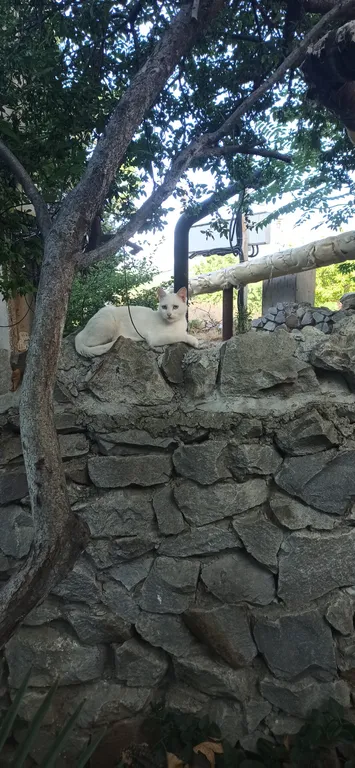 Отдых в Крыму