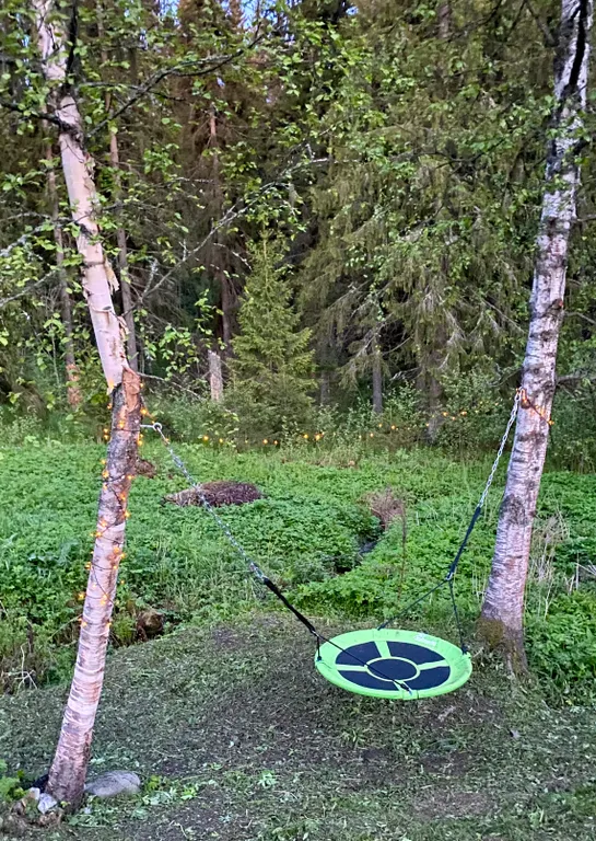 Уютная лесная дача в экологически чистом месте северного приладожья