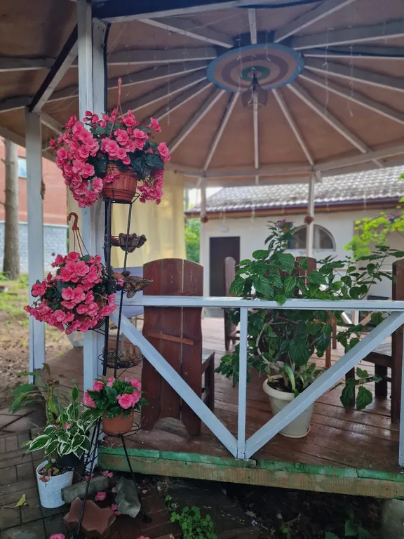 Уютный домик с сауной с видом на лес