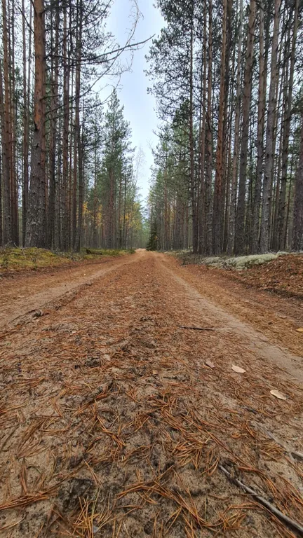 Коттедж Гостевой дом с сауной и купелью, вблизи реки и Ладоги — Видлица