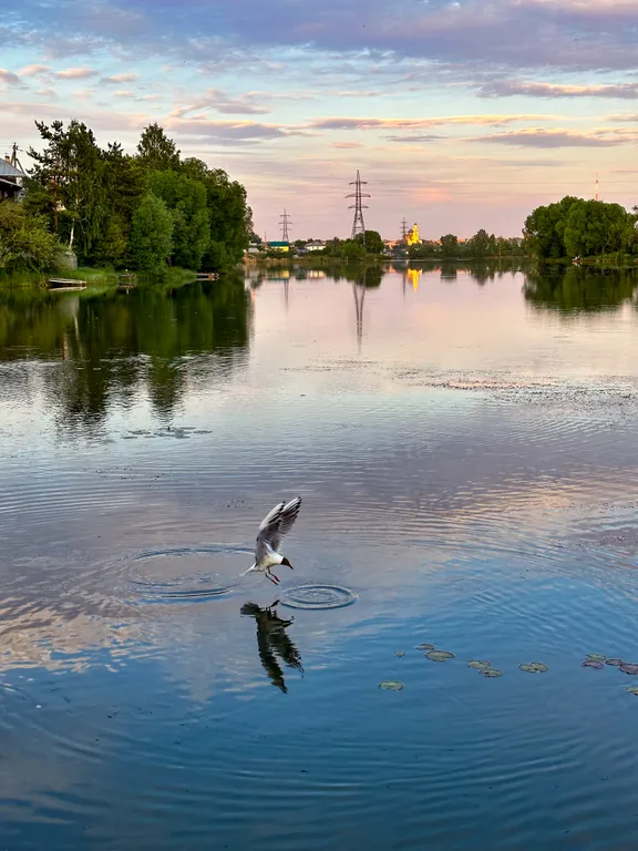 Дом на берегу озера