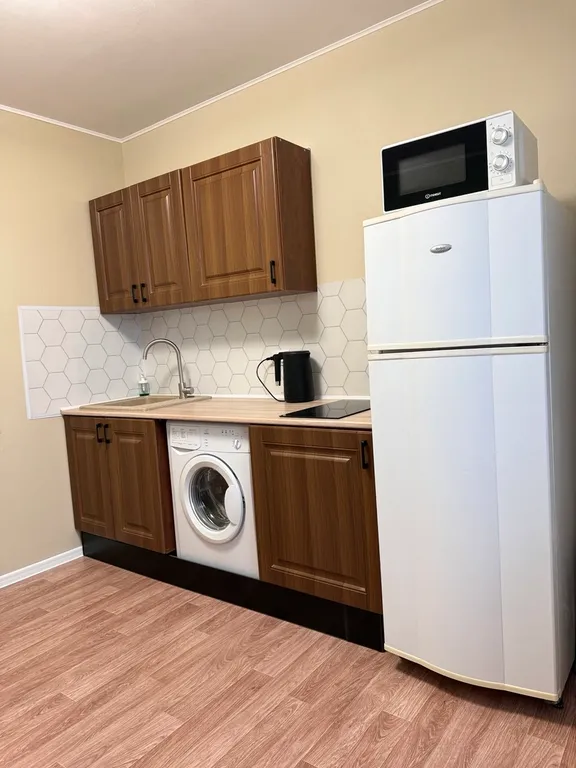 Уютная 1 комнатная квартира с видом на парк Чадр