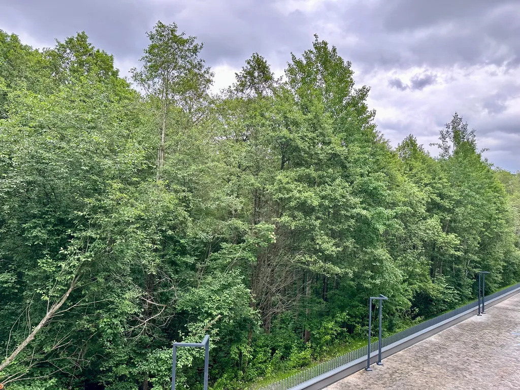 Студия на берегу Финского залива с собственными СПА комплексом