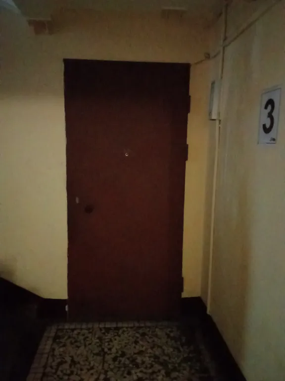 Квартира Уютная квартира с видом на Муринский парк — Санкт-Петербург