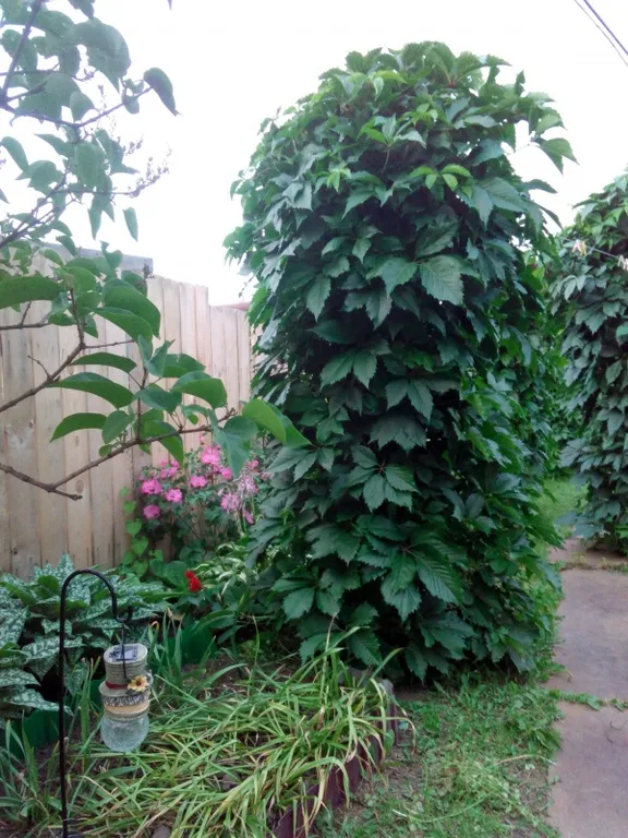 Часть жилого дома с отдельным входом