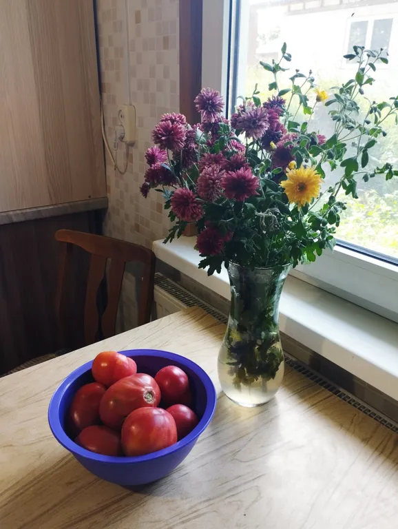 Маленький зеленый домик