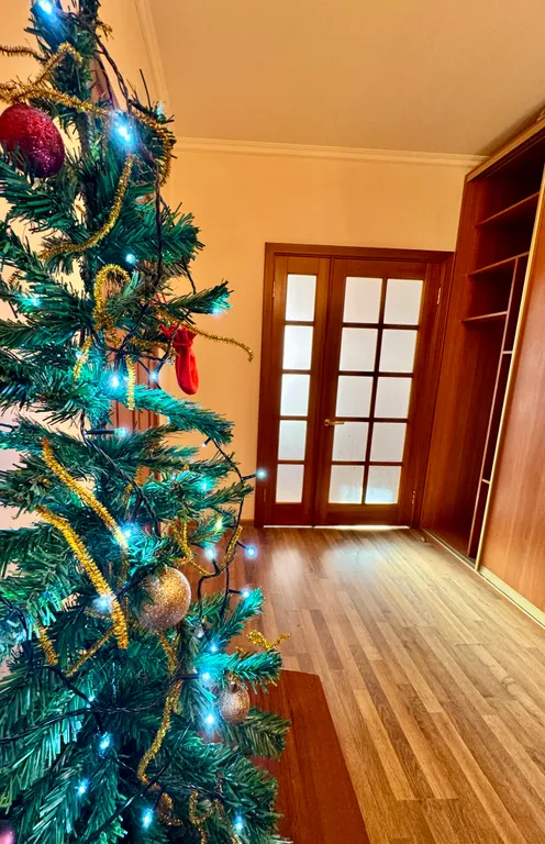 Квартира Квартира Просторная комфортная двушка с шикарным видом — Краснодар