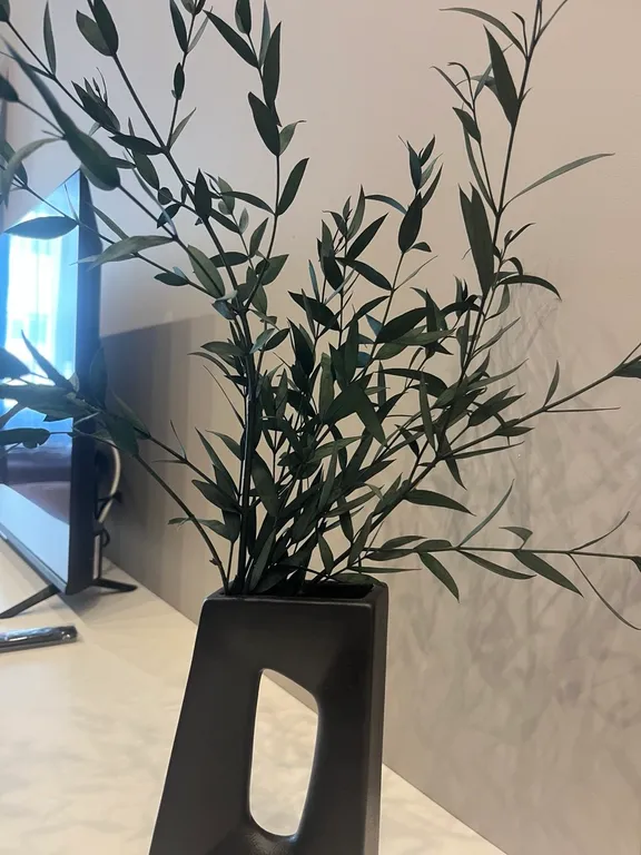 Квартира Desert Rose Apartment — просторные апартаменты в центре — Владивосток