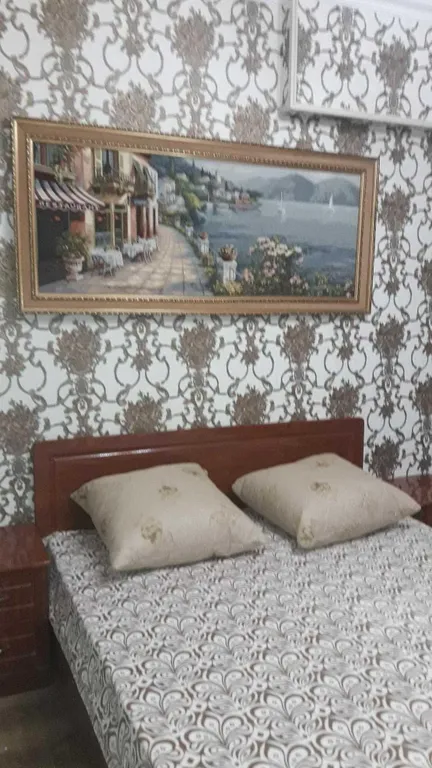 1-комнатная Квартира — аренда посуточно в Владикавказ